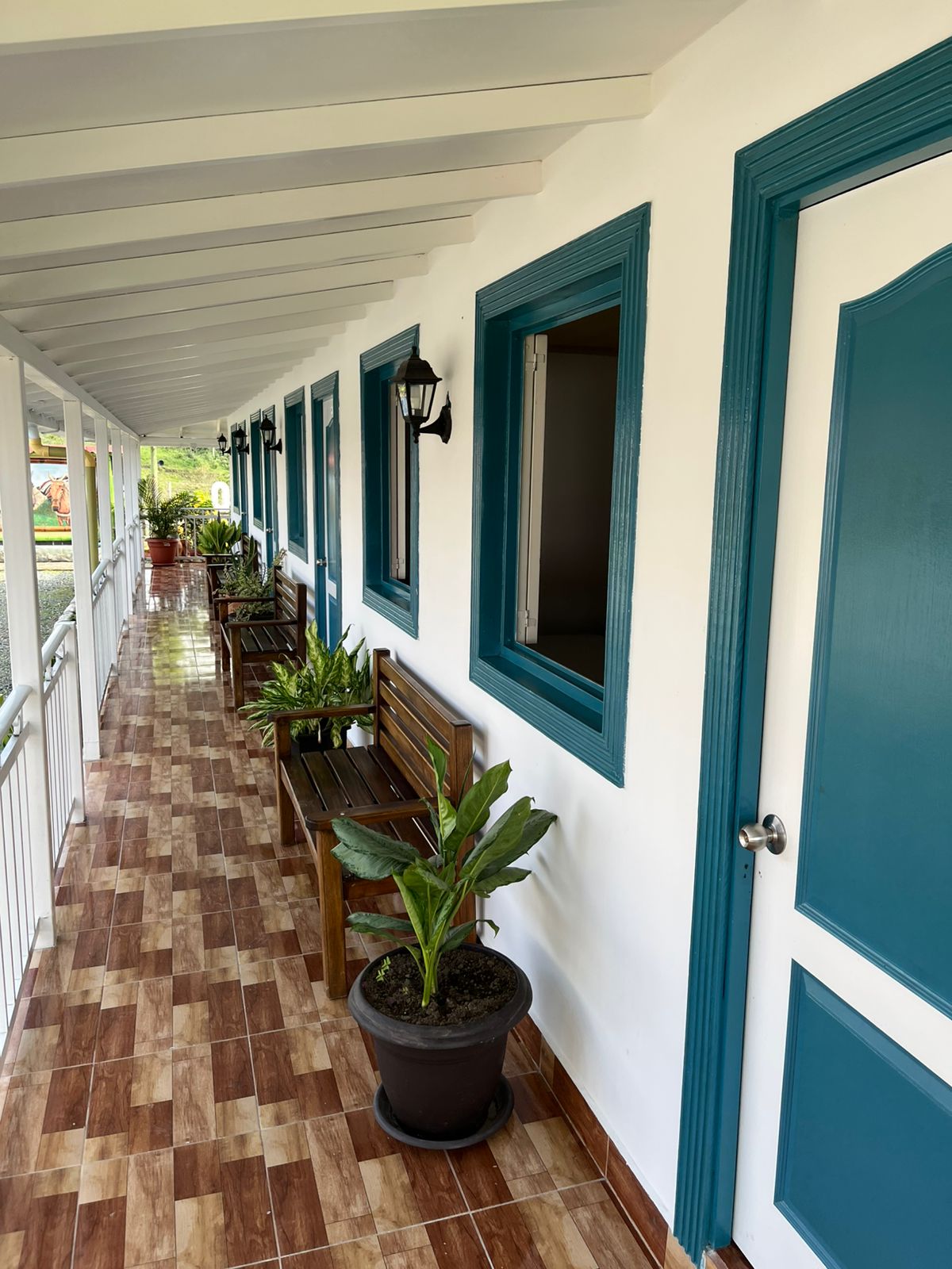 Pasillos Azules y Blancos